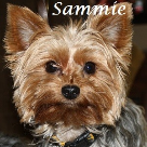 Sammie. 2009-2015